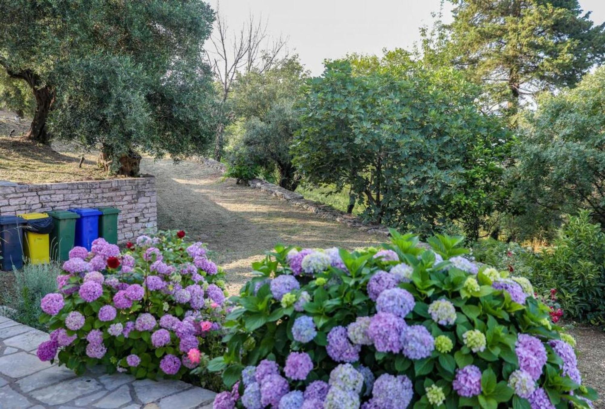 Sinies Stone Cottage - Ne Corfu Agnitsini Ngoại thất bức ảnh