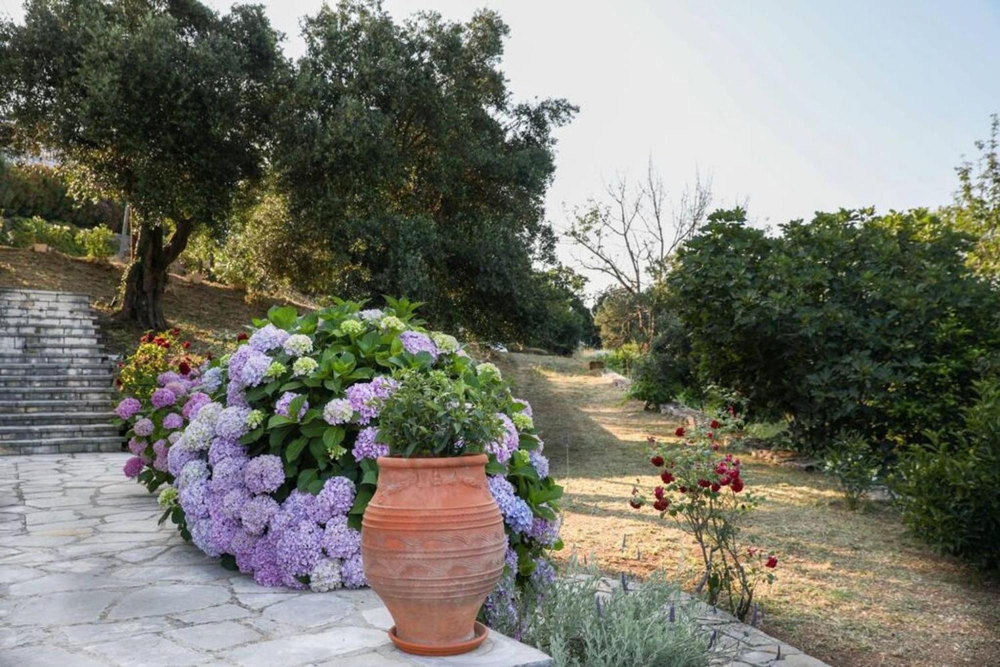 Sinies Stone Cottage - Ne Corfu Agnitsini Ngoại thất bức ảnh